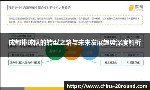 成都排球队的转型之路与未来发展趋势深度解析